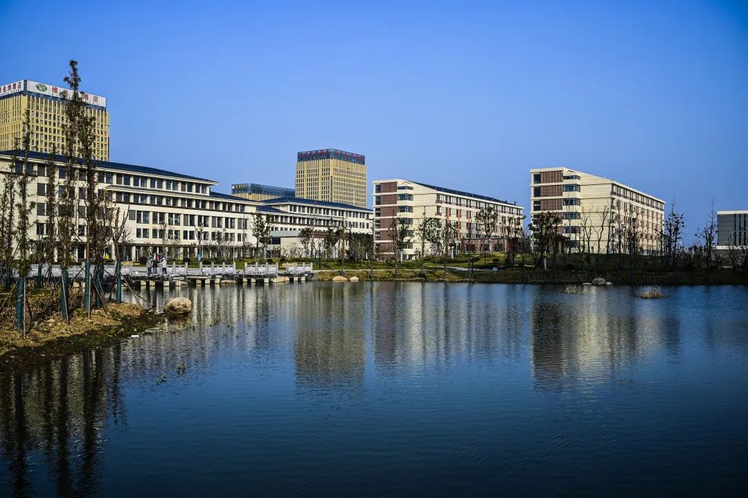 中建电子参建阜阳理工学校(新校区)顺利迎来首批新生